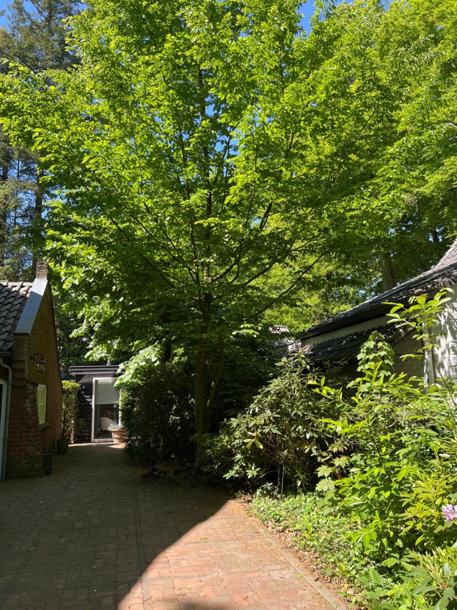 De Merel Vught Eksteriør billede